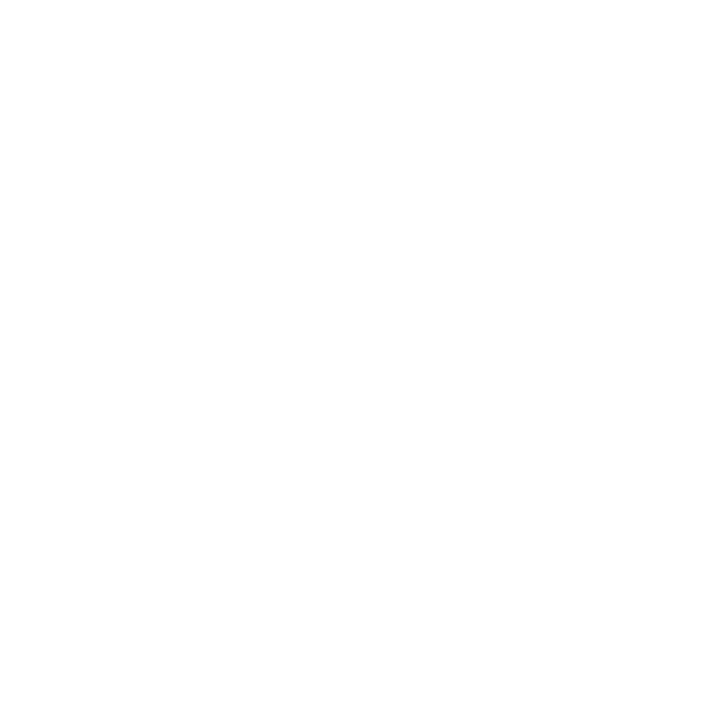 Zignone logo